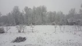 Winter stock image Winter stock image