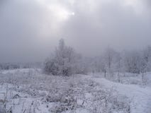 Winterdunst 1 stockbilder Winterdunst 1 stockbilder