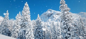 Winterlandschaft mit schneebedecktem Wald und hohem moutain stockfoto Winterlandschaft mit schneebedecktem Wald und hohem moutain stockfoto