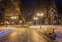 Winternachtlandschaftsbank unter Bäumen und glänzendem Straße lig Lizenzfreie Stockbilder Winternachtlandschaftsbank unter Bäumen und glänzendem Straße lig Lizenzfreie Stockbilder