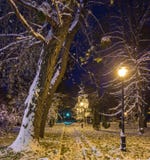 Winternachtlandschaftsbank unter Bäumen und glänzendem Straße lig Lizenzfreie Stockfotografie Winternachtlandschaftsbank unter Bäumen und glänzendem Straße lig Lizenzfreie Stockfotografie