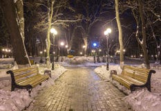 Winternachtlandschaftsbank unter Bäumen und glänzenden Straßenlaternefallenden Schneeflocken Lizenzfreies Stockfoto Winternachtlandschaftsbank unter Bäumen und glänzenden Straßenlaternefallenden Schneeflocken Lizenzfreies Stockfoto