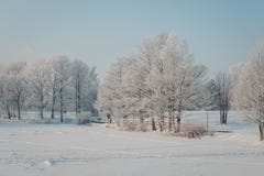 Winterpanorama eines Parks unter Schnee am sonnigen Tag stockfotografie Winterpanorama eines Parks unter Schnee am sonnigen Tag stockfotografie