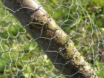 Wire mesh and tree Stock Photos Wire mesh and tree Stock Photos