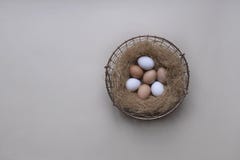Wirey korg med sugrör som är fullt av vita och gula fega ägg på en grå bakgrund arkivfoton Wirey korg med sugrör som är fullt av vita och gula fega ägg på en grå bakgrund arkivfoton