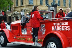 Wisconsin Badgers royalty free stock photo Wisconsin Badgers royalty free stock photo