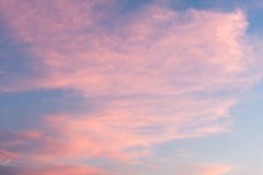 Wispy rosa Wolken bei Sonnenuntergang in Salt Lake City stockbild Wispy rosa Wolken bei Sonnenuntergang in Salt Lake City stockbild