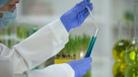 Wissenschaftler, der organisches Öl im Rohr mit blauer Substanz, Reinigungsmittelanalyse hinzufügt stock video Wissenschaftler, der organisches Öl im Rohr mit blauer Substanz, Reinigungsmittelanalyse hinzufügt stock video