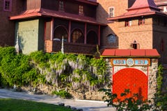 Wisteria κοντά στο βουδιστικό templ στοκ εικόνες με δικαίωμα ελεύθερης χρήσης Wisteria κοντά στο βουδιστικό templ στοκ εικόνες με δικαίωμα ελεύθερης χρήσης