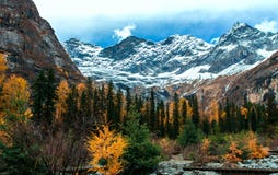 Witness the beauty of nature stock photo Witness the beauty of nature stock photo