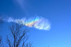 Witte cumuluswolk met regenboogelementen en kronen van bomen tegen de blauwe hemel Royalty-vrije Stock Foto's Witte cumuluswolk met regenboogelementen en kronen van bomen tegen de blauwe hemel Royalty-vrije Stock Foto's