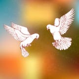 Witte duifvliegen Vogel op gekleurde achtergrond, elementen voor feestelijk ontwerp Handtekening in schetsstijl Vector Stock Foto's Witte duifvliegen Vogel op gekleurde achtergrond, elementen voor feestelijk ontwerp Handtekening in schetsstijl Vector Stock Foto's