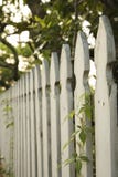 Witte piketomheining. stock afbeelding Witte piketomheining. stock afbeelding