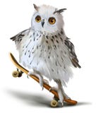 Witte polaire uil op een skateboard vector illustratie Witte polaire uil op een skateboard vector illustratie