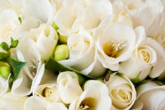 Witte Rose Bridal Flower Wedding Bouquet stock foto Witte Rose Bridal Flower Wedding Bouquet stock foto