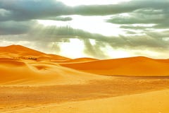 Wohnwagen, der die Sandd?nen in Sahara Desert durchl?uft lizenzfreie stockfotografie Wohnwagen, der die Sandd?nen in Sahara Desert durchl?uft lizenzfreie stockfotografie