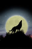 Wolf, der am Mond heult Wolf, der am Mond heult