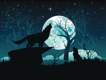 Wolf Howling In The Night Forest Stock Image