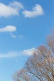 Wolken van de cumulus de witte lucht tegen blauwe hemel stock afbeeldingen Wolken van de cumulus de witte lucht tegen blauwe hemel stock afbeeldingen
