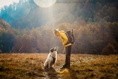 Woman And Dog Outdoors In Autumn Sunrise Social Distancing Stock Photos