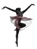 Woman Ballerina Ballet Dancer Dancing Silhouette Royalty Free Stock Photos Woman Ballerina Ballet Dancer Dancing Silhouette Royalty Free Stock Photos
