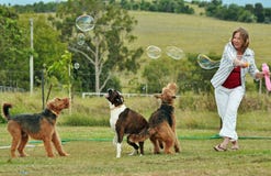 Woman blowing bubbles playing with her dogs