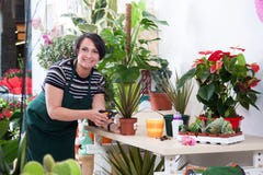 Portrait of woman florist in apron and tool in flower shop stock photography Portrait of woman florist in apron and tool in flower shop stock photography
