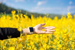 Woman hand touching yellow flowers royalty free stock images Woman hand touching yellow flowers royalty free stock images