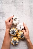 Woman Hands With Black Nails Holding Colored Golden Pumpkin Royalty Free Stock Photography