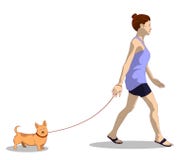 A woman in her home clothes walks a dog. vector illustration A woman in her home clothes walks a dog. vector illustration