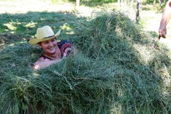 Woman Laying In The Hay. Putting The Grass On The Trailor. Farm Chores, Working On A Field. Royalty Free Stock Photos Woman Laying In The Hay. Putting The Grass On The Trailor. Farm Chores, Working On A Field. Royalty Free Stock Photos