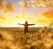 Woman on the meadow with blooming daisies at sunset. stock images Woman on the meadow with blooming daisies at sunset. stock images
