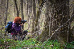Woman nature photographer Stock Photography Woman nature photographer Stock Photography