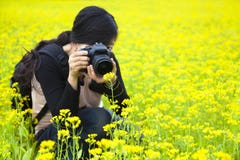 Woman photographer taking pictures in nature Stock Photos Woman photographer taking pictures in nature Stock Photos