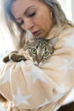 Woman playing with cat, home pet royalty free stock photography Woman playing with cat, home pet royalty free stock photography