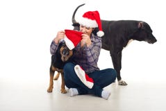 Woman prepare dogs for Christmas stock photos Woman prepare dogs for Christmas stock photos