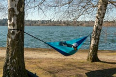 Woman reading in hammock stock photo Woman reading in hammock stock photo