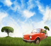 Woman in red car on a meadow