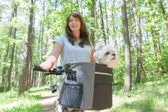 Woman riding a bike with her dog Royalty Free Stock Image Woman riding a bike with her dog Royalty Free Stock Image