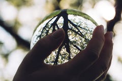 Woman`s hand holding a glass sphere Stock Photo Woman`s hand holding a glass sphere Stock Photo