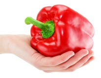 Woman S Hand Holds Red Paprika Isolated Stock Photography