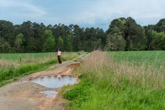 Woman in sarong walking on dirt road with puddles in field stock photography Woman in sarong walking on dirt road with puddles in field stock photography