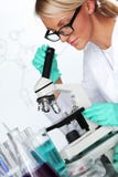 Woman Scientist In Chemical Lab Royalty Free Stock Images Woman Scientist In Chemical Lab Royalty Free Stock Images