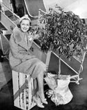 Woman sitting on a crate of oranges next to a plane and citrus tree royalty free stock image Woman sitting on a crate of oranges next to a plane and citrus tree royalty free stock image