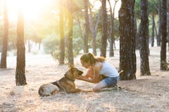 Woman teaching and loving her dog stock image Woman teaching and loving her dog stock image