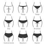 Woman Underwear Panties Types. Vector Stock Vector - Illustration of  fashion, flat: 86595673