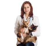 Woman vet with pets royalty free stock photography Woman vet with pets royalty free stock photography