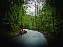 Woman walking the path through the forest royalty free stock photo Woman walking the path through the forest royalty free stock photo