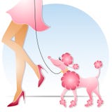 Woman Walking Pink Poodle