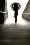 Woman Walking With Umbrella Stock Images Woman Walking With Umbrella Stock Images